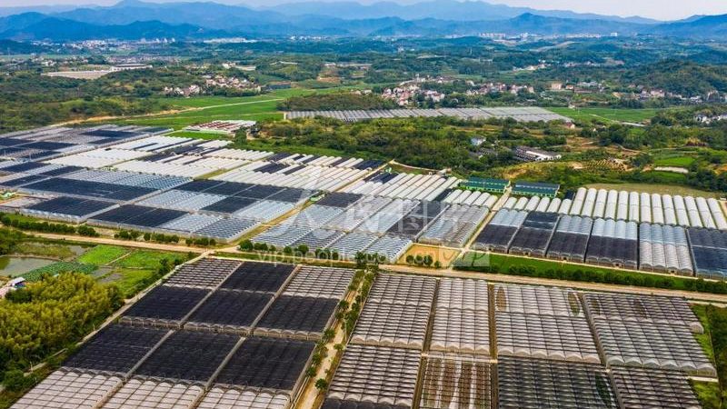 黄土地种水果：适宜性分析及种植要点