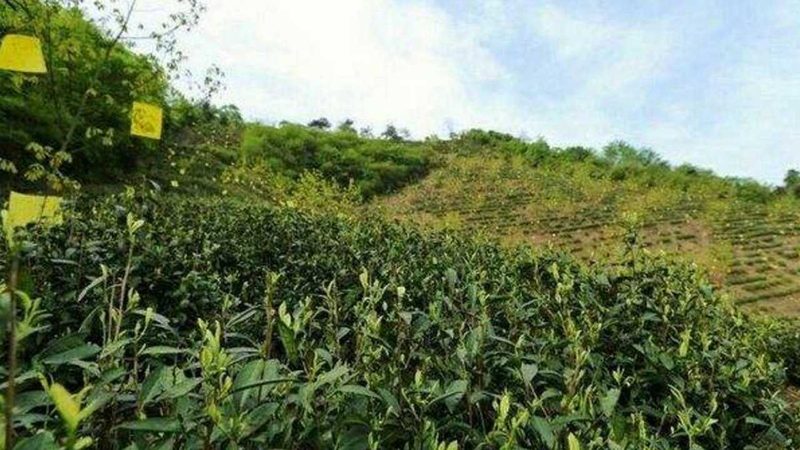 粮食种植资质代办，如何选择专业机构？**