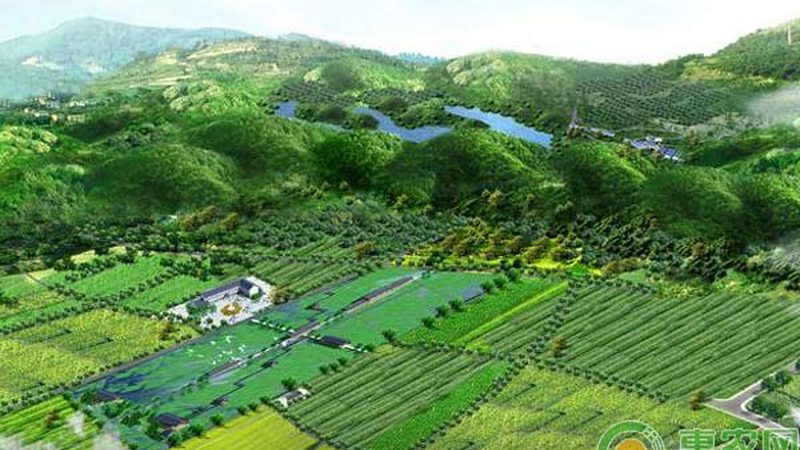 休闲农业园区运营模式：多元发展，各具特色