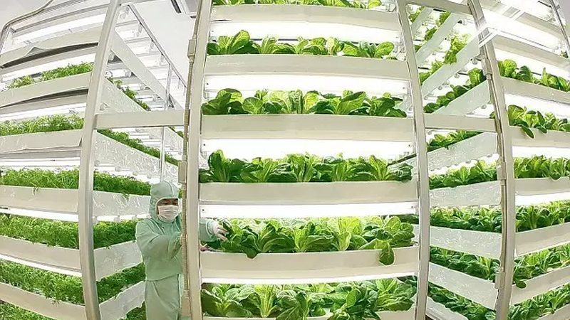 农产品双渠道营销：构建多元化销售格局**