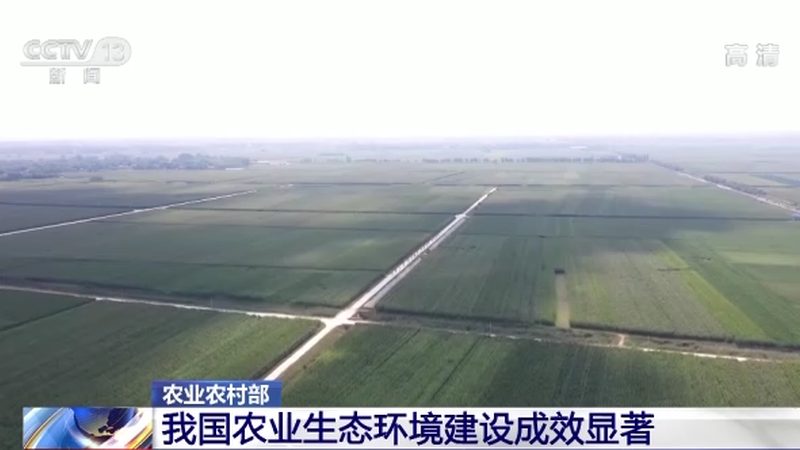合作社联农带农机制：构建现代农业发展新格局