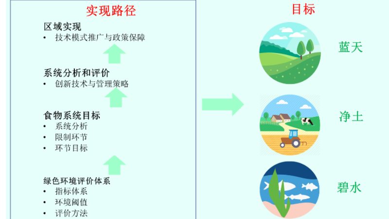 蔬菜直播选品：规格参数背后的种植智慧