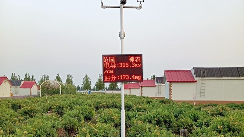 学校蔬菜配送，如何选择合适报价清单？**