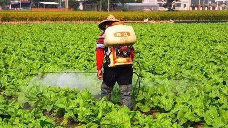 合作社财务管理：五大关键点，助您稳健运营**