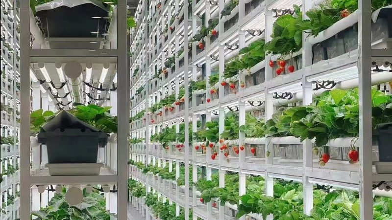 水培设备技术参数怎么看