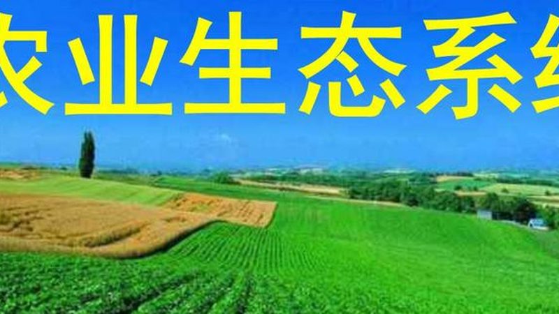 农业温室安装：关键参数揭秘**