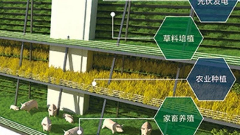 北京绿色食品批发市场行情解析