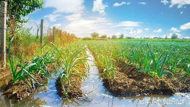 水培设备批发哪家好