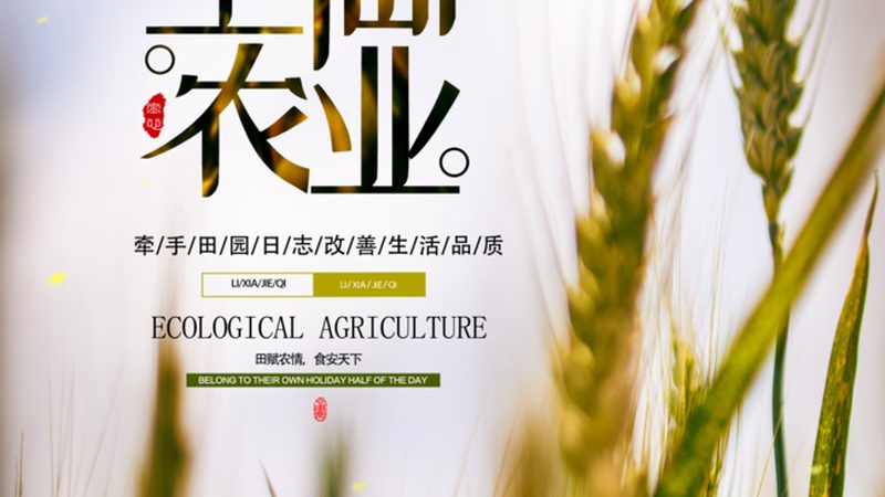 设施农业加盟十大品牌